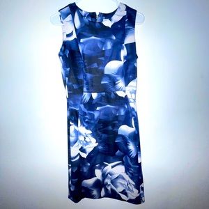 Shelby & Palmer Flower Print Blue Dress 💙